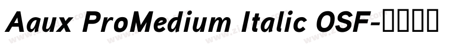 Aaux ProMedium Italic OSF字体转换